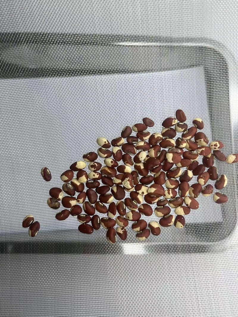 MSJSZP 50 Mesh Stainless Steel Screen, 0.17mm Wire Diameter, 11.8" x 39.4" (30cm x 100cm) Fine Mesh Screen, Corrosion Resistant, for Filtration, Insect Proof, Gardening, Kitchen & Industrial Use - Image 3